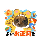 あけもこメリもこ（個別スタンプ：5）