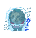 あけもこメリもこ（個別スタンプ：6）