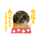 あけもこメリもこ（個別スタンプ：7）
