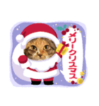 あけもこメリもこ（個別スタンプ：8）