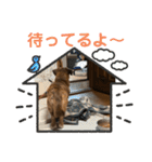 愛犬ことらの使えるスタンプ(4)（個別スタンプ：32）