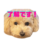 NICOSENA#3（個別スタンプ：5）
