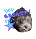 NICOSENA#3（個別スタンプ：8）