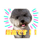 NICOSENA#3（個別スタンプ：10）
