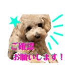 NICOSENA#3（個別スタンプ：11）