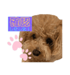 NICOSENA#3（個別スタンプ：13）