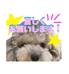NICOSENA#3（個別スタンプ：23）