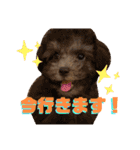 NICOSENA#3（個別スタンプ：27）