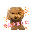 NICOSENA#3（個別スタンプ：28）