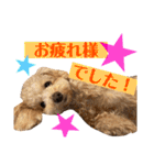 NICOSENA#3（個別スタンプ：31）