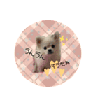 4ワンスタンプ♪♪（個別スタンプ：1）