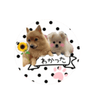 4ワンスタンプ♪♪（個別スタンプ：4）