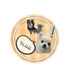 4ワンスタンプ♪♪（個別スタンプ：5）