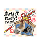 4ワンスタンプ♪♪（個別スタンプ：6）