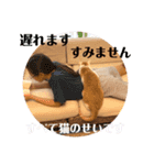 ポン太くん ファミリーver.（個別スタンプ：30）