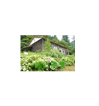 廃校（個別スタンプ：1）