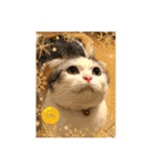 猫猫猫三姉妹（個別スタンプ：6）
