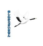 ツルのひとこえ 敬語のあいさつ（個別スタンプ：14）