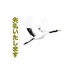 ツルのひとこえ 敬語のあいさつ（個別スタンプ：16）