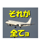 飛行機のつぶやき014（個別スタンプ：1）