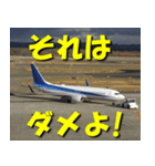 飛行機のつぶやき014（個別スタンプ：10）