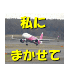 飛行機のつぶやき014（個別スタンプ：22）