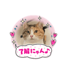 主人もがっち（個別スタンプ：6）