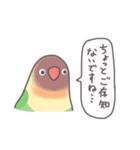 自由なインコと文鳥たち 2（個別スタンプ：10）