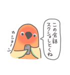 自由なインコと文鳥たち 2（個別スタンプ：26）