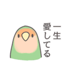 自由なインコと文鳥たち 2（個別スタンプ：31）