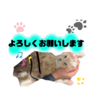 とわもり2（個別スタンプ：7）