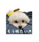 【嫁の笑顔が見たくって】ルル坊スタンプ②（個別スタンプ：16）