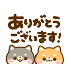 デカ文字♡豆柴日和（個別スタンプ：12）