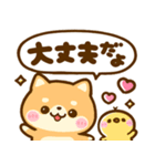 デカ文字♡豆柴日和（個別スタンプ：19）