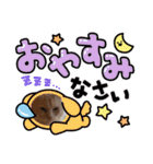 ふわふわラグドールのみーちゃん（個別スタンプ：2）