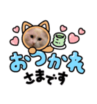 ふわふわラグドールのみーちゃん（個別スタンプ：3）