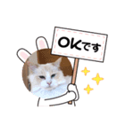 ふわふわラグドールのみーちゃん（個別スタンプ：7）