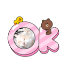 ふわふわラグドールのみーちゃん（個別スタンプ：8）