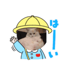 ふわふわラグドールのみーちゃん（個別スタンプ：9）