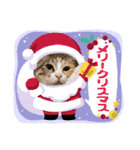 モガおめ（個別スタンプ：2）