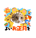 モガおめ（個別スタンプ：4）