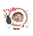 モガおめ（個別スタンプ：6）