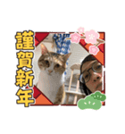 モガおめ（個別スタンプ：8）