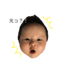 shoa's stamp（個別スタンプ：1）