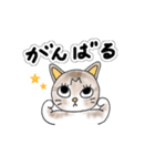 ねこはべつばら（個別スタンプ：3）