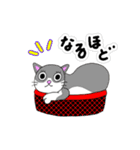 ねこはべつばら（個別スタンプ：12）