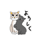 ねこはべつばら（個別スタンプ：23）