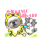 可愛い～挨拶（個別スタンプ：3）