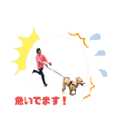 茶々丸16（個別スタンプ：9）