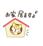 柴犬だるまの家族で使える会話（個別スタンプ：16）